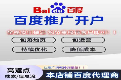 SEM托管代运营案例：打造高效营销体系